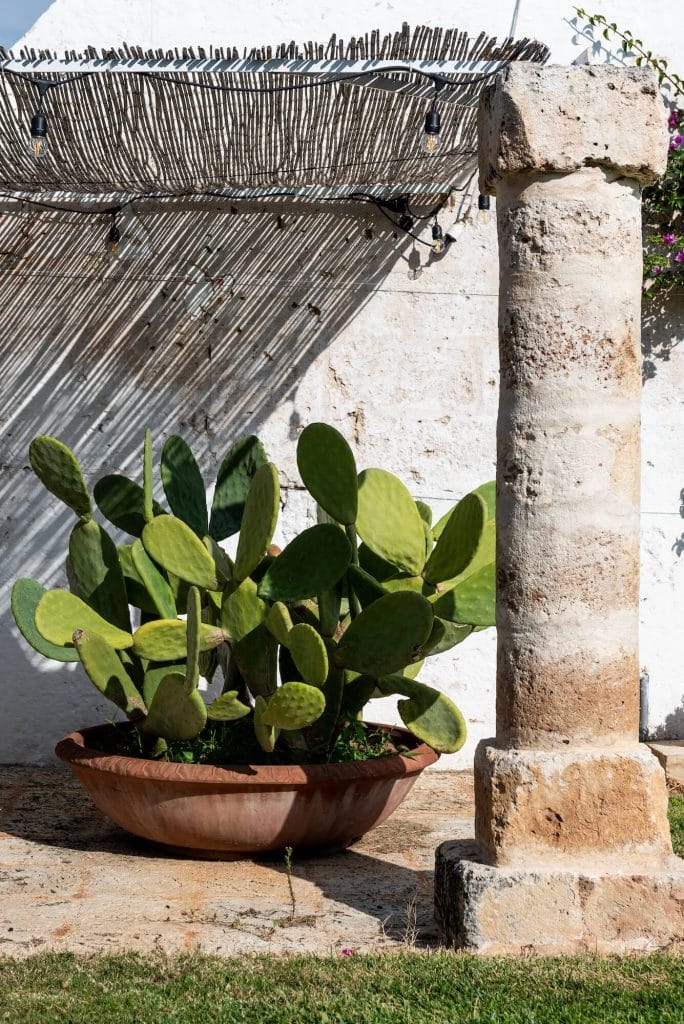 Colonna Masseria Fasano Esterno