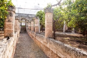 Esterno Masseria Fasano Giardino